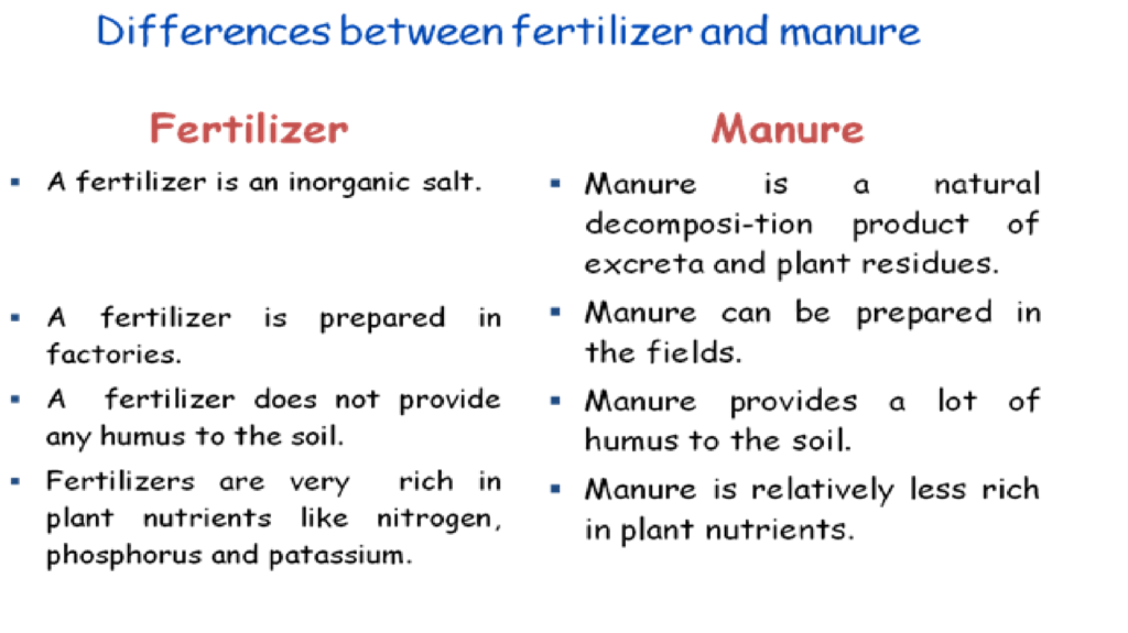 difference between manure and fertilizer